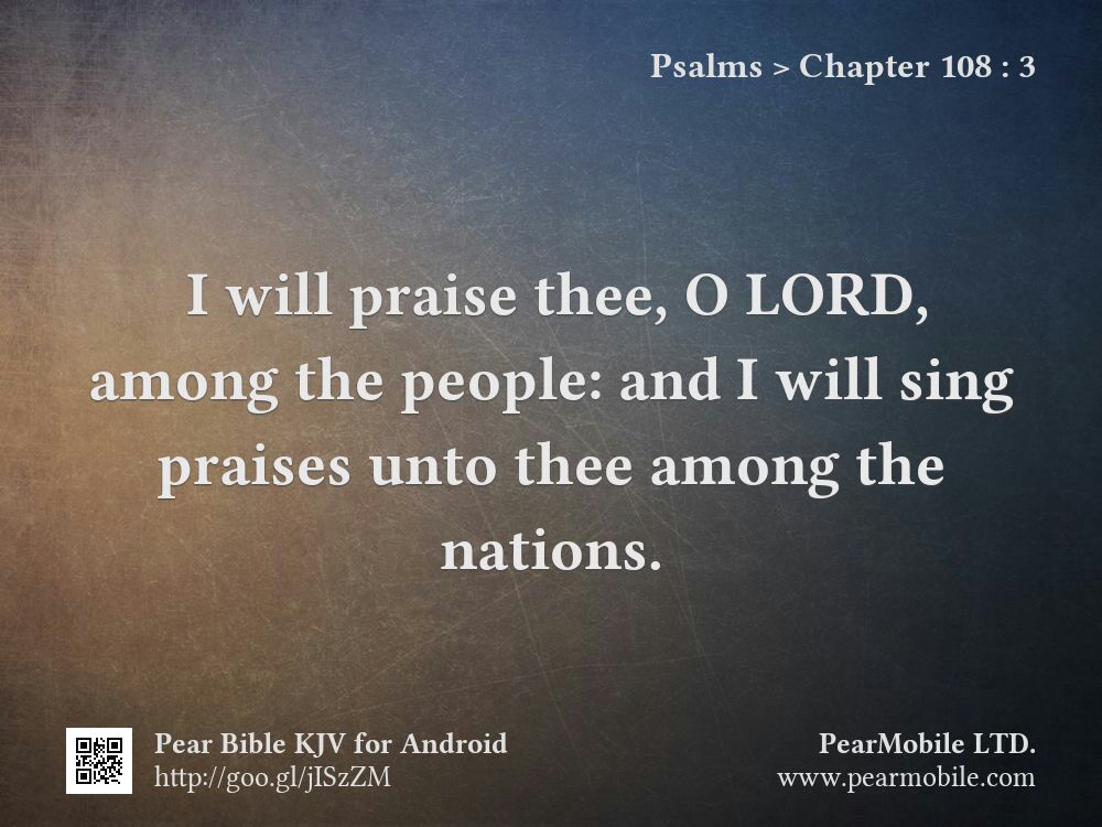 Psalms, Chapter 108:3